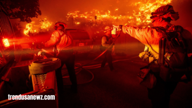 malibu fire